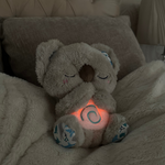 Koala care respiră RO